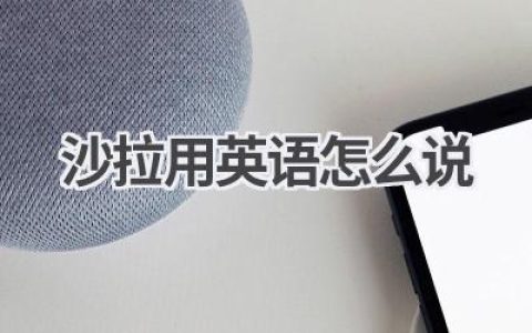 沙拉用英语怎么说