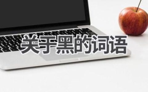 关于黑的词语