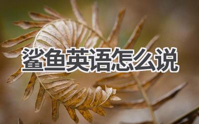 鲨鱼英语怎么说