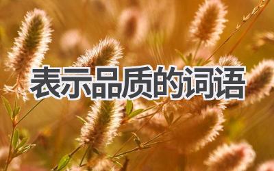 表示品质的词语