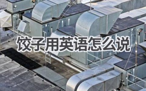 饺子用英语怎么说