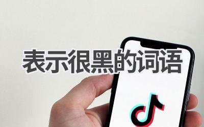 表示很黑的词语