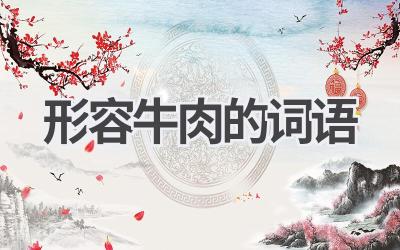 形容牛肉的词语