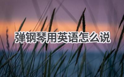 弹钢琴用英语怎么说