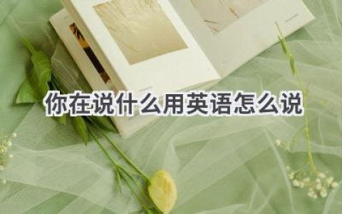 你在说什么用英语怎么说