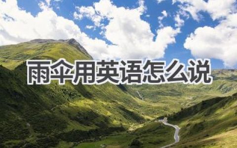 雨伞用英语怎么说