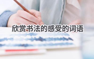欣赏书法的感受的词语