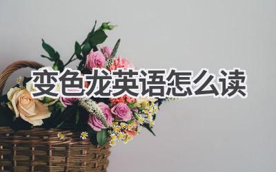变色龙英语怎么读