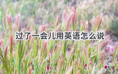 过了一会儿用英语怎么说