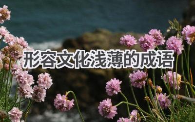 形容文化浅薄的成语