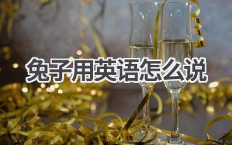 兔子用英语怎么说