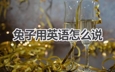 兔子用英语怎么说