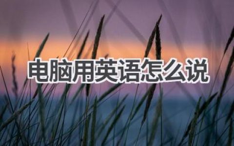 电脑用英语怎么说
