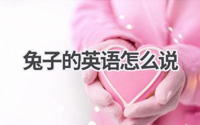 兔子的英语怎么说