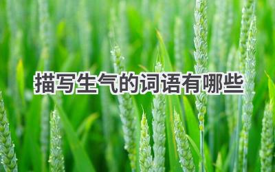 描写生气的词语有哪些