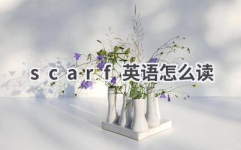 scarf英语怎么读