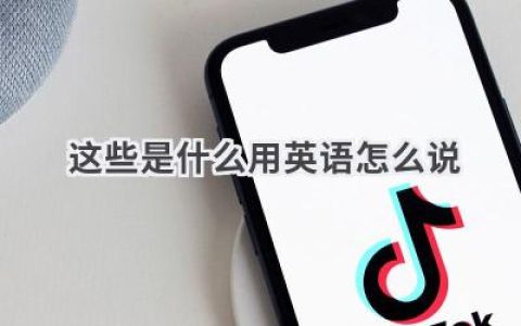 这些是什么用英语怎么说