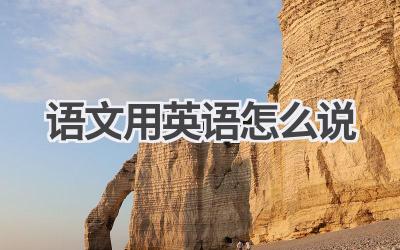 语文用英语怎么说