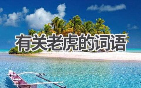 有关老虎的词语