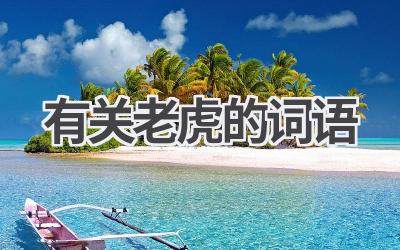 有关老虎的词语