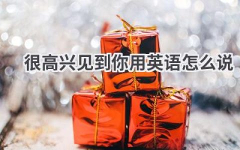 很高兴见到你用英语怎么说