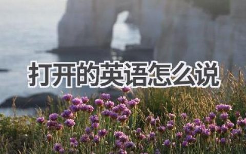 打开的英语怎么说