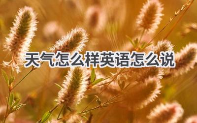 天气怎么样英语怎么说