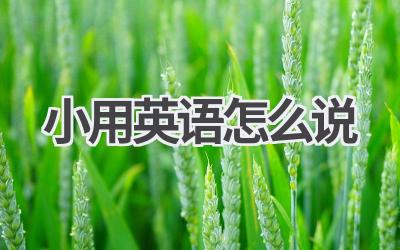 小用英语怎么说