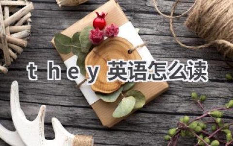 they英语怎么读
