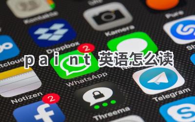 paint英语怎么读