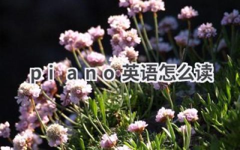 piano英语怎么读