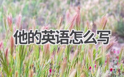 他的英语怎么写