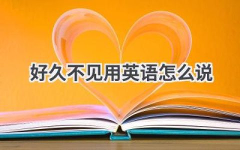 好久不见用英语怎么说