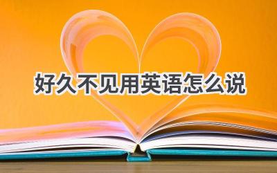 好久不见用英语怎么说