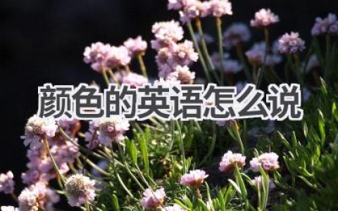 颜色的英语怎么说