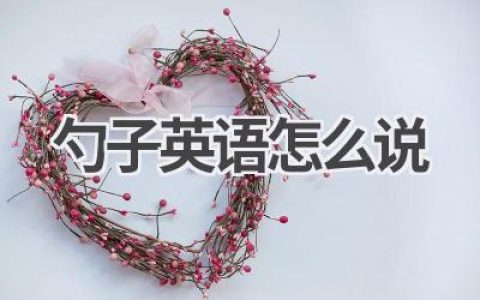 勺子英语怎么说