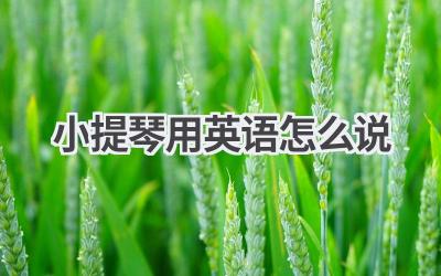 小提琴用英语怎么说