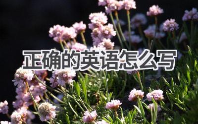 正确的英语怎么写
