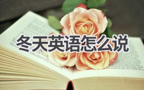 冬天英语怎么说