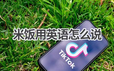 米饭用英语怎么说