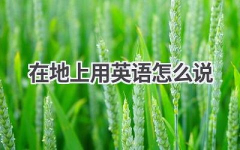在地上用英语怎么说