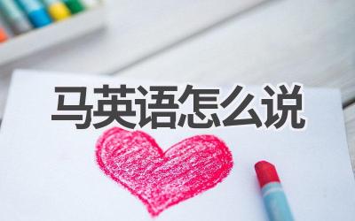 马英语怎么说