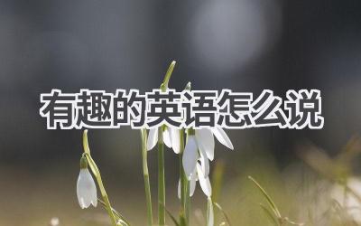 有趣的英语怎么说