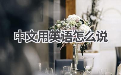 中文用英语怎么说
