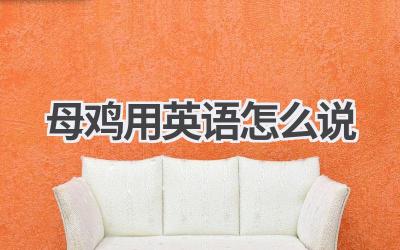 母鸡用英语怎么说