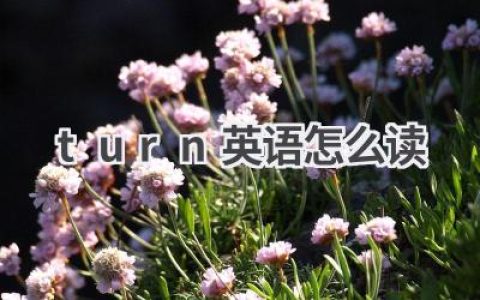 turn英语怎么读