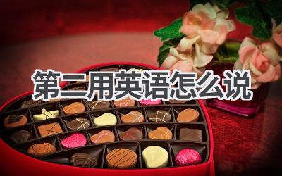 第二用英语怎么说