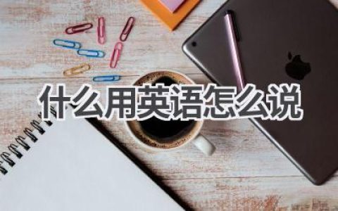什么用英语怎么说