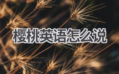 樱桃英语怎么说