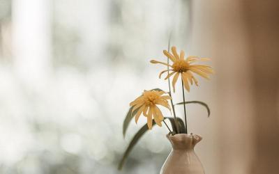 课程用英语怎么说